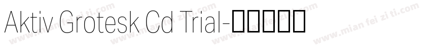 Aktiv Grotesk Cd Trial字体转换